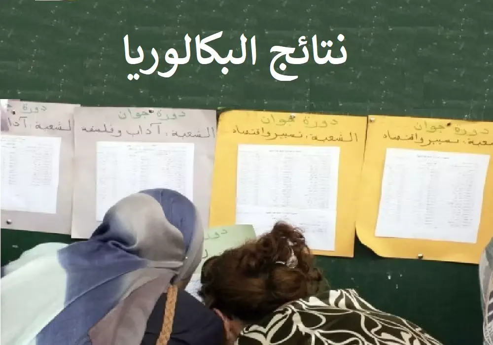 Exemple d'un affichage des résultats officiels du Bac Algérie 2026 selon l’ONEC